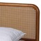 Baxton Studio Rosita Mid-Century Modern Light Grey Velvet Fabric and Walnut Brown Finished Platform Bed-Queen 242-13530-ZORO - alternate 2